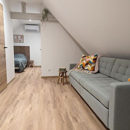 Le Cosy Apartment Marlenheim Ngoại thất bức ảnh